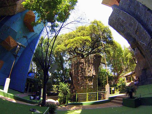 Odoo - Prueba 1 a tres columnas